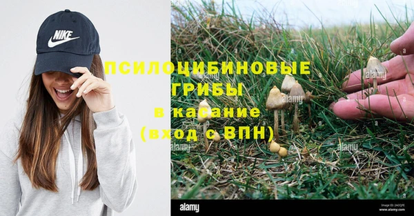 прущая мука Гусь-Хрустальный