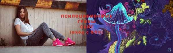 прущая мука Гусь-Хрустальный