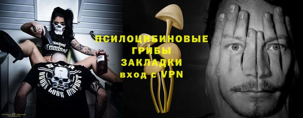 круглые Гусев