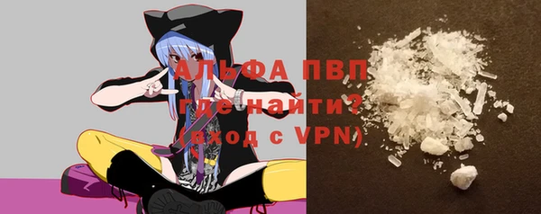круглые Гусев