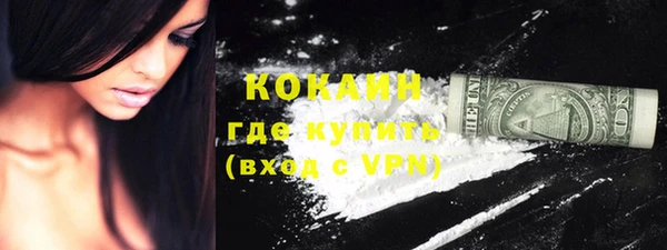 круглые Гусев