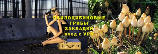 круглые Гусев